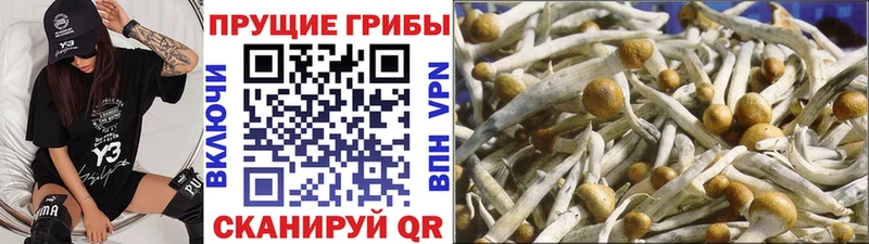 Галлюциногенные грибы MAGIC MUSHROOMS  Касли 